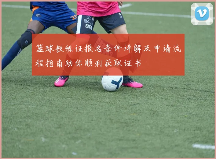 篮球教练证报名条件详解及申请流程指南助你顺利获取证书