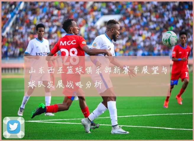 山东西王篮球俱乐部新赛季展望与球队发展战略分析