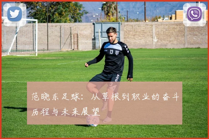 范晓东足球：从草根到职业的奋斗历程与未来展望