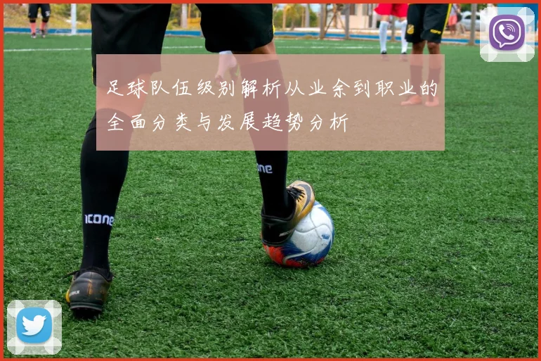 足球队伍级别解析从业余到职业的全面分类与发展趋势分析