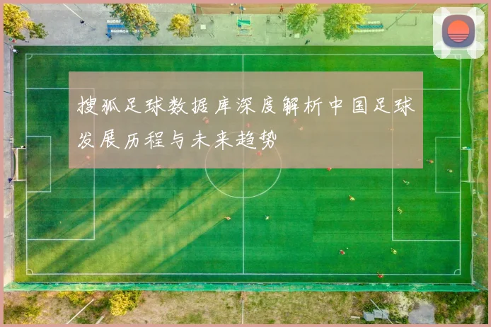 搜狐足球数据库深度解析中国足球发展历程与未来趋势