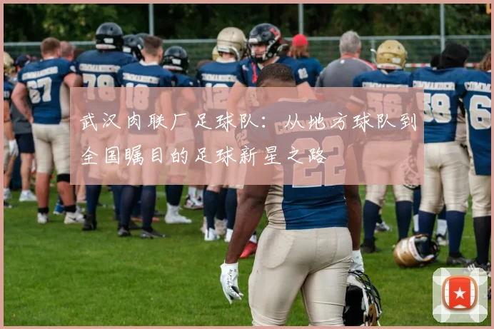 武汉肉联厂足球队：从地方球队到全国瞩目的足球新星之路