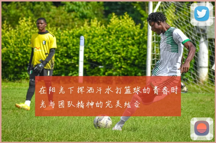 在阳光下挥洒汗水打篮球的青春时光与团队精神的完美结合