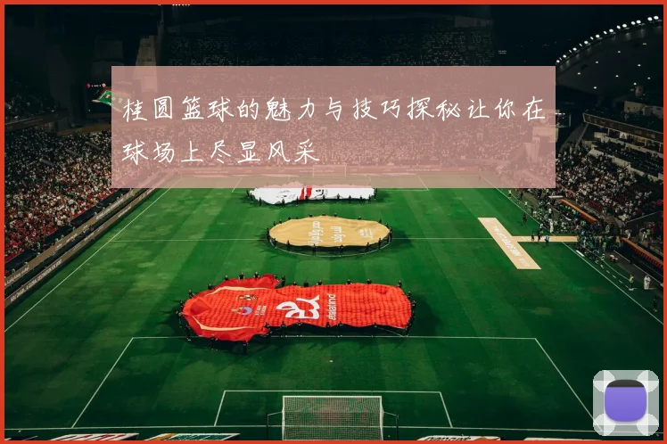 桂圆篮球的魅力与技巧探秘让你在球场上尽显风采