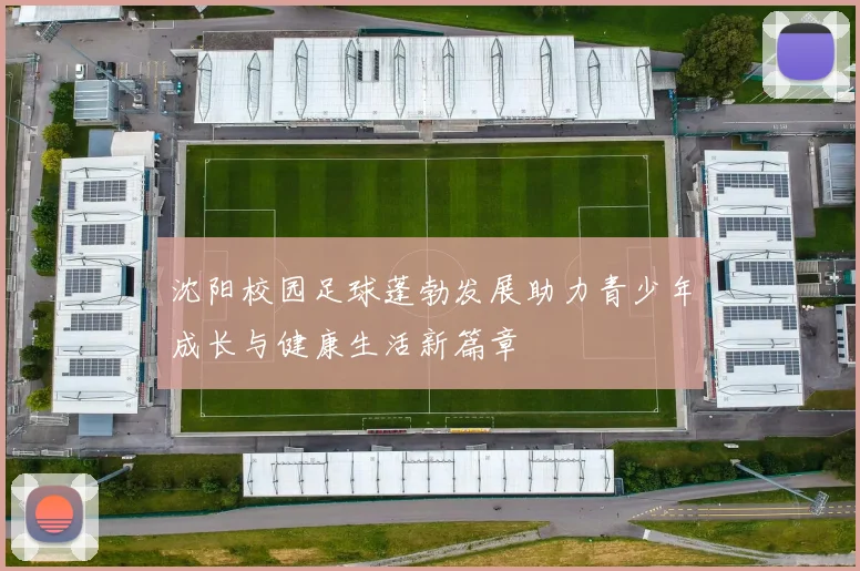沈阳校园足球蓬勃发展助力青少年成长与健康生活新篇章