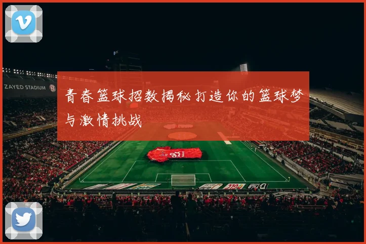 青春篮球招数揭秘打造你的篮球梦与激情挑战