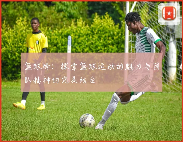 篮球蜂：探索篮球运动的魅力与团队精神的完美结合